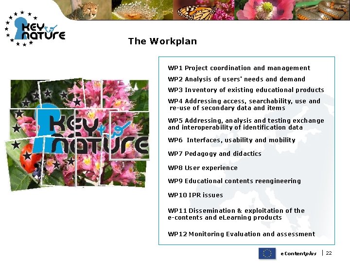 The Workplan WP 1 Project coordination and management WP 2 Analysis of users' needs