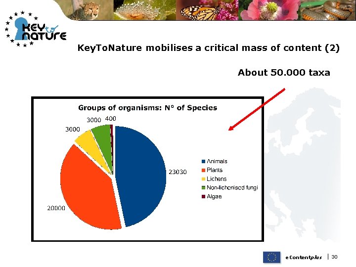 Key. To. Nature mobilises a critical mass of content (2) About 50. 000 taxa