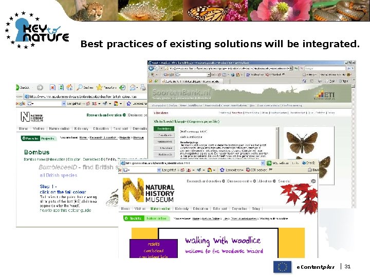 Best practices of existing solutions will be integrated. e. Contentplus | 31 Best practices of existing solutions will be integrated. e. Contentplus | 31