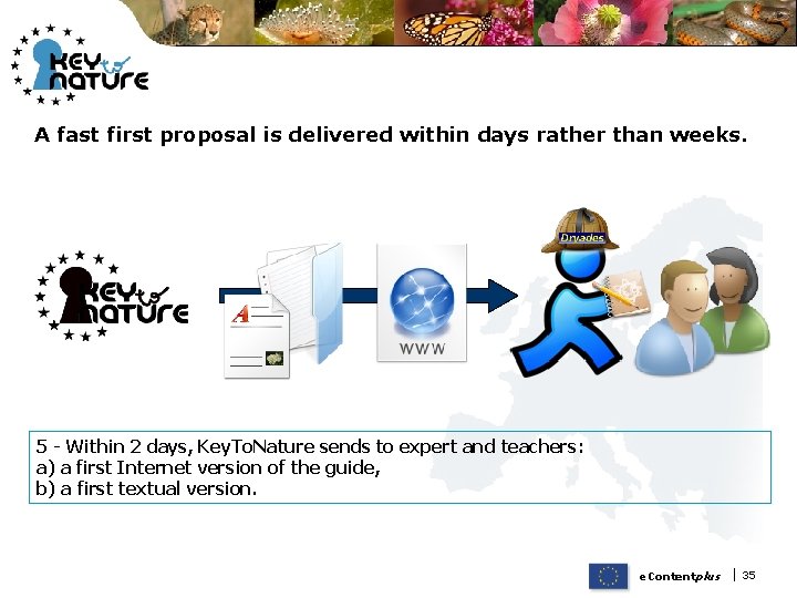 A fast first proposal is delivered within days rather than weeks. 5 - Within