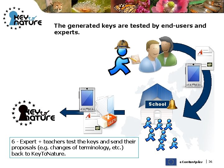 The generated keys are tested by end-users and experts. School 6 - Expert +