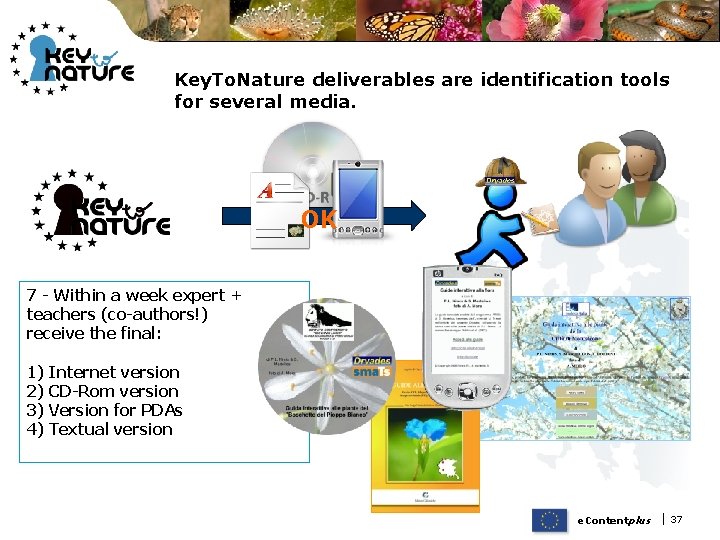 Key. To. Nature deliverables are identification tools for several media. OK 7 - Within