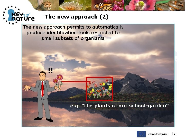 The new approach (2) The new approach permits to automatically produce identification tools restricted