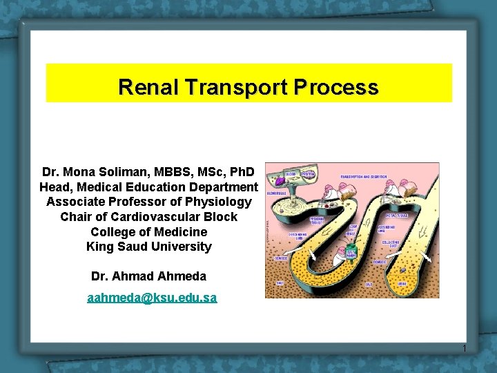 Renal Transport Process Dr. Mona Soliman, MBBS, MSc, Ph. D Head, Medical Education Department