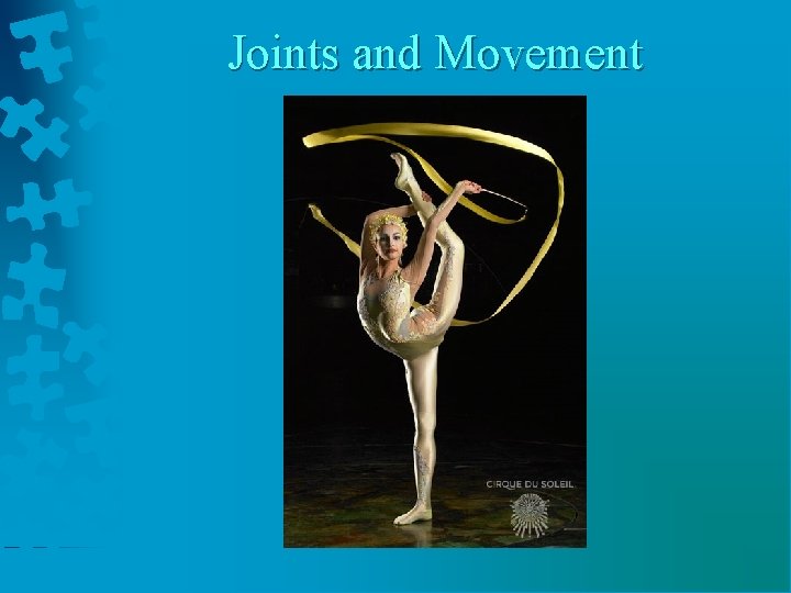 Joints and Movement 