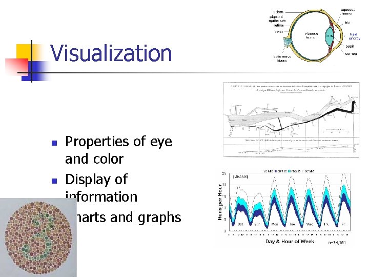 Visualization n Properties of eye and color Display of information Charts and graphs Visualization n Properties of eye and color Display of information Charts and graphs