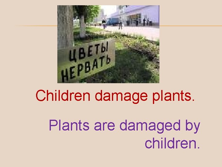 Children damage plants. Plants are damaged by children. 