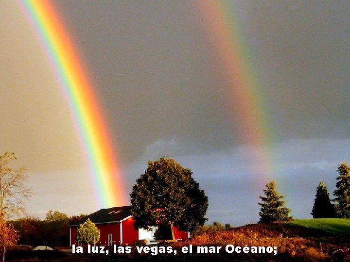 ¡Oh Kempis, antes de leerte amaba la luz, las vegas, el mar Océano; 