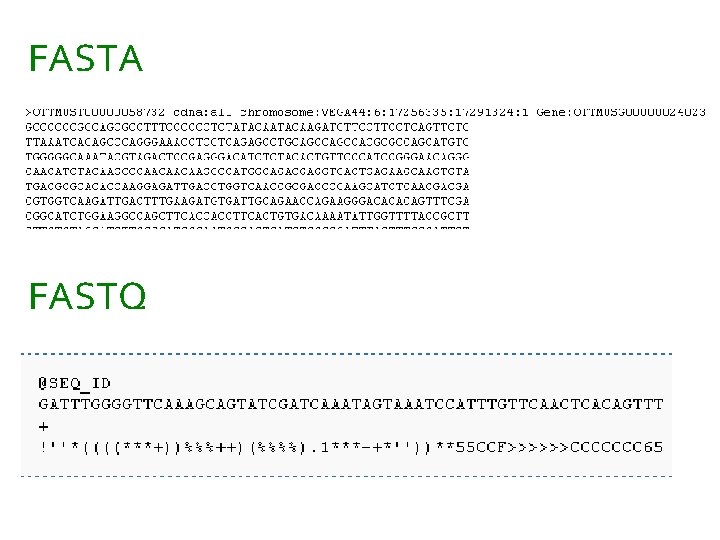 FASTA FASTQ FASTA FASTQ