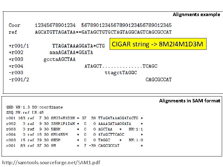 Alignments example CIGAR string -> 8 M 2 I 4 M 1 D 3 Alignments example CIGAR string -> 8 M 2 I 4 M 1 D 3