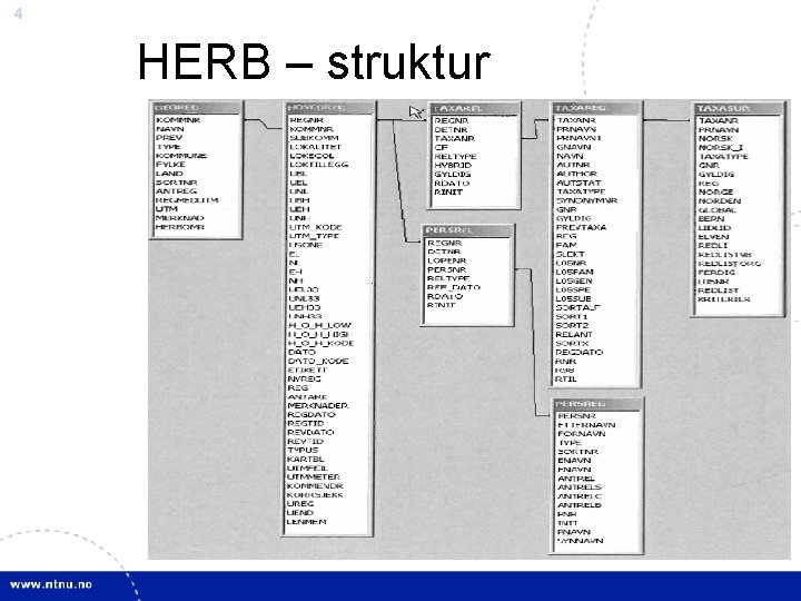 4 HERB – struktur 