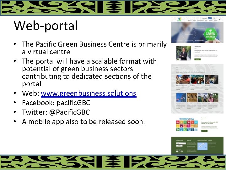 Web-portal • The Pacific Green Business Centre is primarily a virtual centre • The
