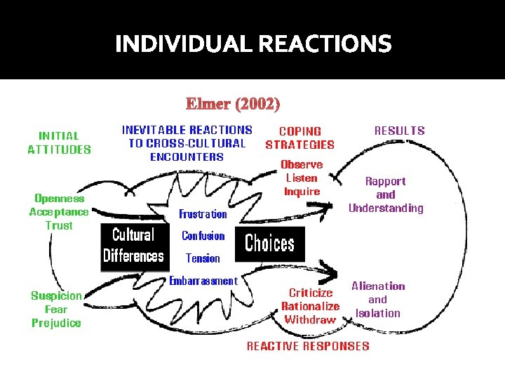 INDIVIDUAL REACTIONS Elmer (2002) 