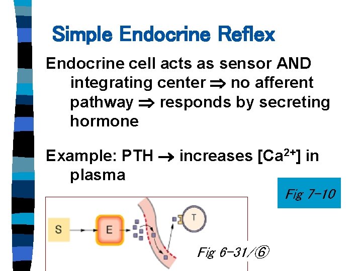 Simple Endocrine Reflex Endocrine cell acts as sensor AND integrating center no afferent pathway Simple Endocrine Reflex Endocrine cell acts as sensor AND integrating center no afferent pathway