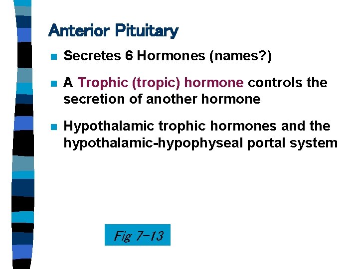 Anterior Pituitary n Secretes 6 Hormones (names? ) n A Trophic (tropic) hormone controls Anterior Pituitary n Secretes 6 Hormones (names? ) n A Trophic (tropic) hormone controls