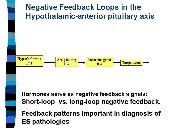 Negative Feedback Loops in the Hypothalamic-anterior pituitary axis Hypothalamus IC 1 Ant. pituitary IC Negative Feedback Loops in the Hypothalamic-anterior pituitary axis Hypothalamus IC 1 Ant. pituitary IC
