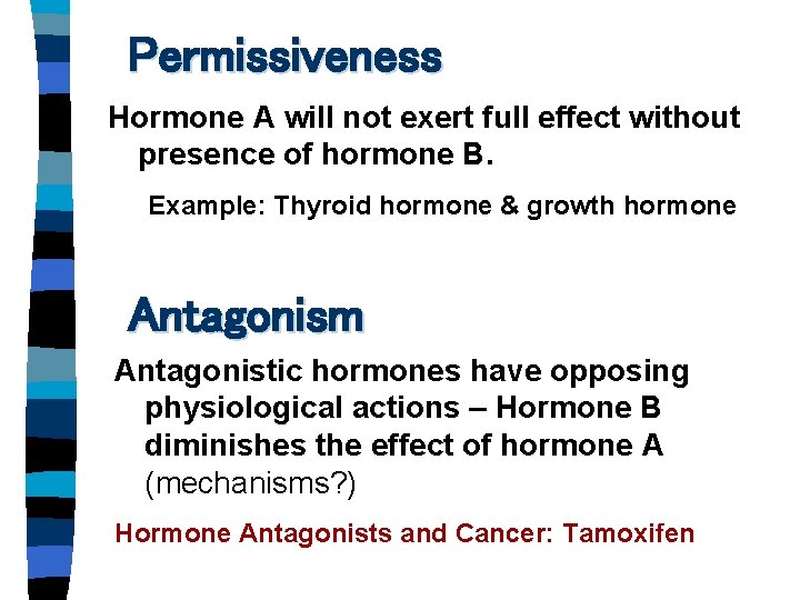 Permissiveness Hormone A will not exert full effect without presence of hormone B. Example: Permissiveness Hormone A will not exert full effect without presence of hormone B. Example: