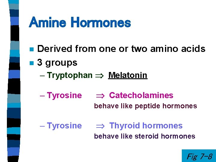 Amine Hormones n n Derived from one or two amino acids 3 groups – Amine Hormones n n Derived from one or two amino acids 3 groups –