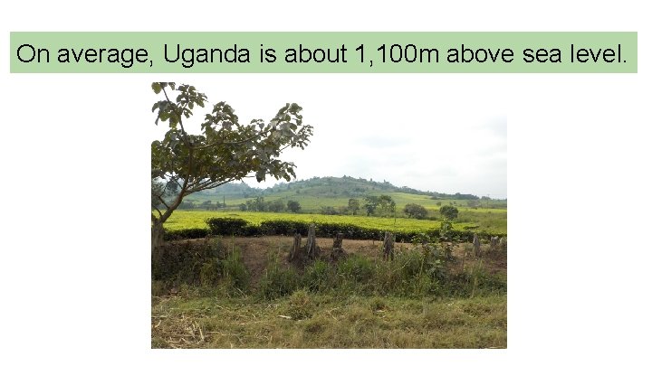 On average, Uganda is about 1, 100 m above sea level. 