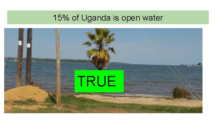 15% of Uganda is open water TRUE 