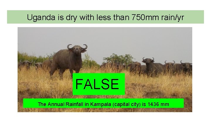 Uganda is dry with less than 750 mm rain/yr FALSE The Annual Rainfall in