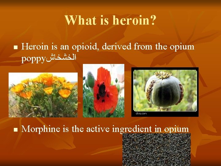 What is heroin? n n Heroin is an opioid, derived from the opium poppy