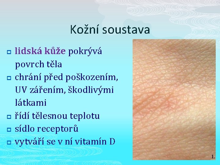 Kožní soustava p p p lidská kůže pokrývá povrch těla chrání před poškozením, UV