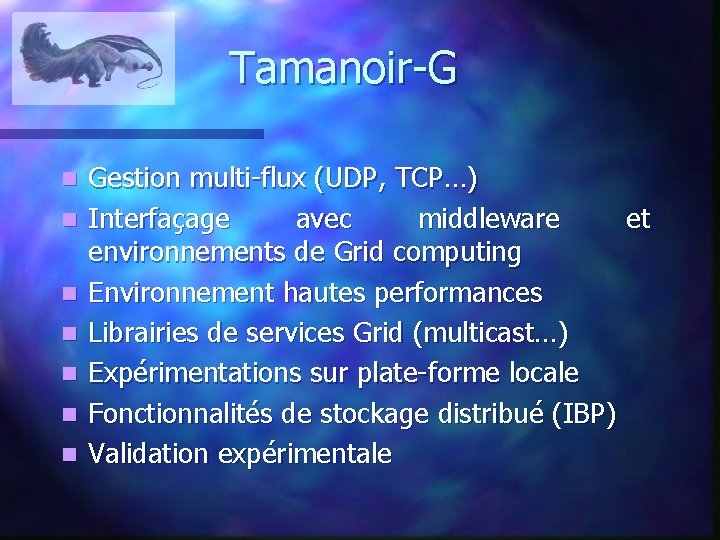 Tamanoir-G n n n n Gestion multi-flux (UDP, TCP…) Interfaçage avec middleware et environnements