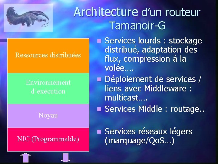 Architecture d’un routeur Tamanoir-G Services lourds : stockage distribué, adaptation des flux, compression à