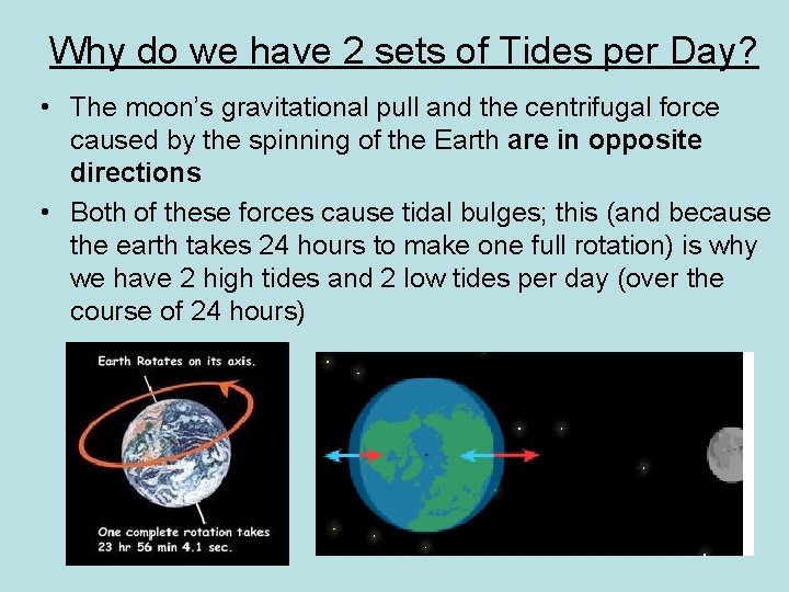 Why do we have 2 sets of Tides per Day? • The moon’s gravitational