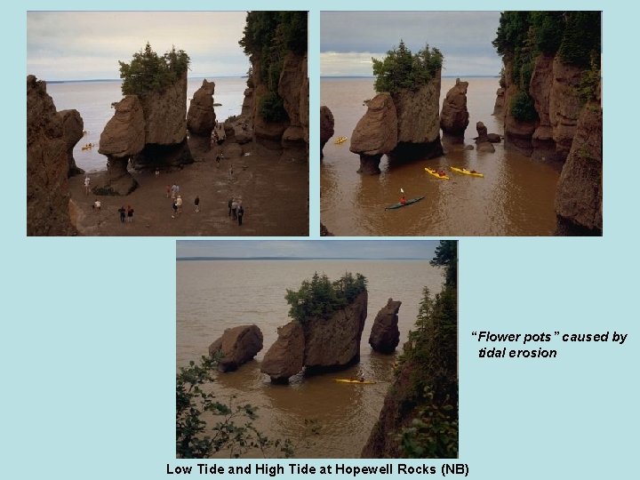 “Flower pots” caused by tidal erosion Low Tide and High Tide at Hopewell Rocks