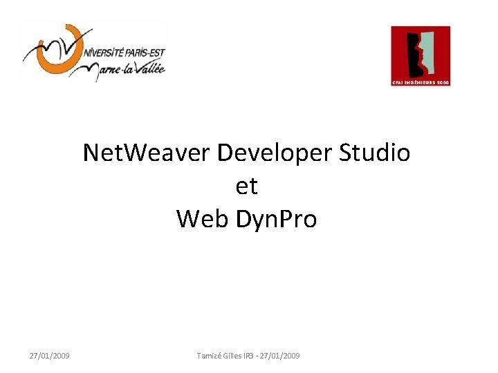 Net. Weaver Developer Studio et Web Dyn. Pro 27/01/2009 Tamizé Gilles IR 3 -