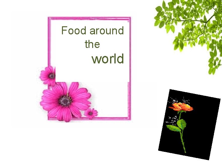 Food around the world 