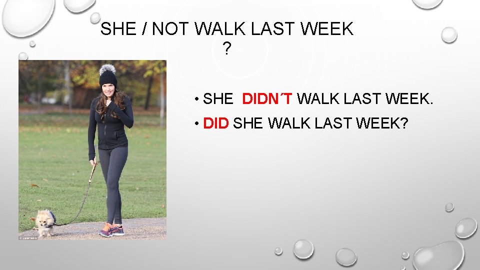 SHE / NOT WALK LAST WEEK ? • SHE DIDN´T WALK LAST WEEK. •