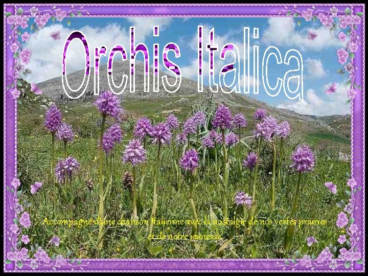 Accompagné d’une chanson Italienne avec la nostalgie de nos vertes prairies et de notre Accompagné d’une chanson Italienne avec la nostalgie de nos vertes prairies et de notre