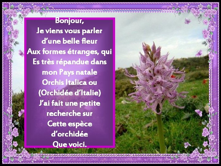 Bonjour, Je viens vous parler d’une belle fleur Aux formes étranges, qui Es très Bonjour, Je viens vous parler d’une belle fleur Aux formes étranges, qui Es très