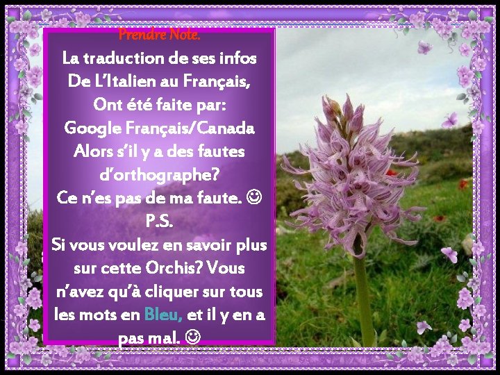 Prendre Note. La traduction de ses infos De L’Italien au Français, Ont été faite Prendre Note. La traduction de ses infos De L’Italien au Français, Ont été faite