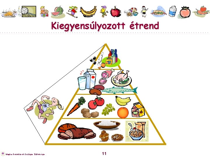 Kiegyensúlyozott étrend Magyar Dietetikusok Országos Szövetsége 11 