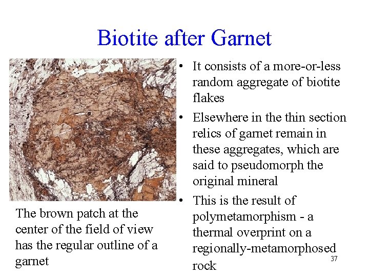 Biotite after Garnet The brown patch at the center of the field of view