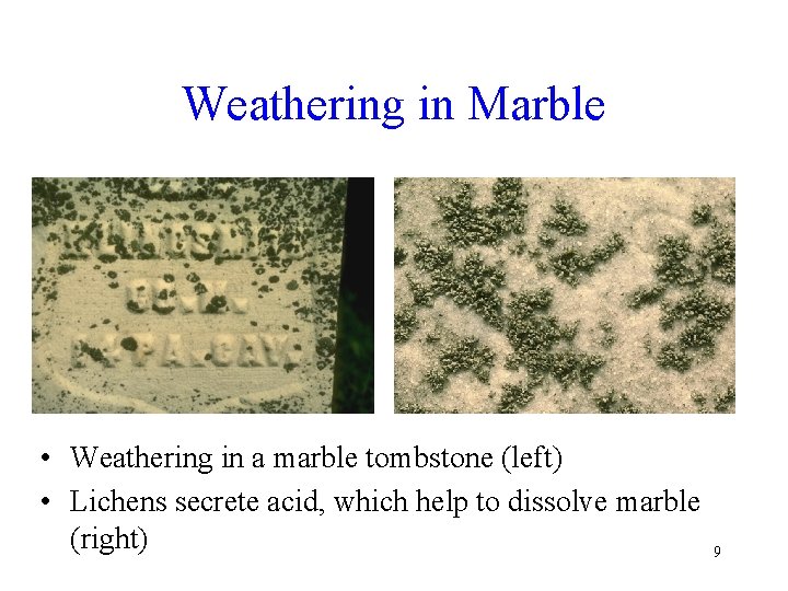 Weathering in Marble • Weathering in a marble tombstone (left) • Lichens secrete acid,