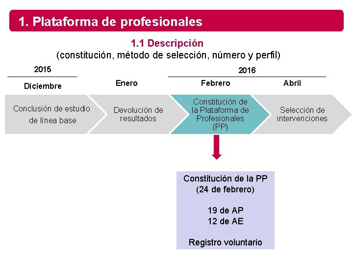1. Plataforma de profesionales 1. 1 Descripción (constitución, método de selección, número y perfil)