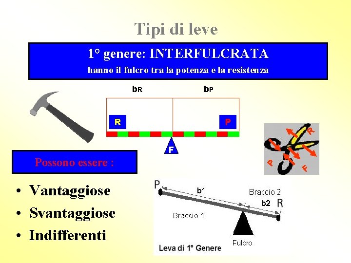 Tipi di leve 1° genere: INTERFULCRATA hanno il fulcro tra la potenza e la