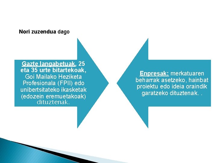 Nori zuzendua dago Gazte langabetuak, 25 eta 35 urte bitartekoak, Goi Mailako Heziketa Profesionala