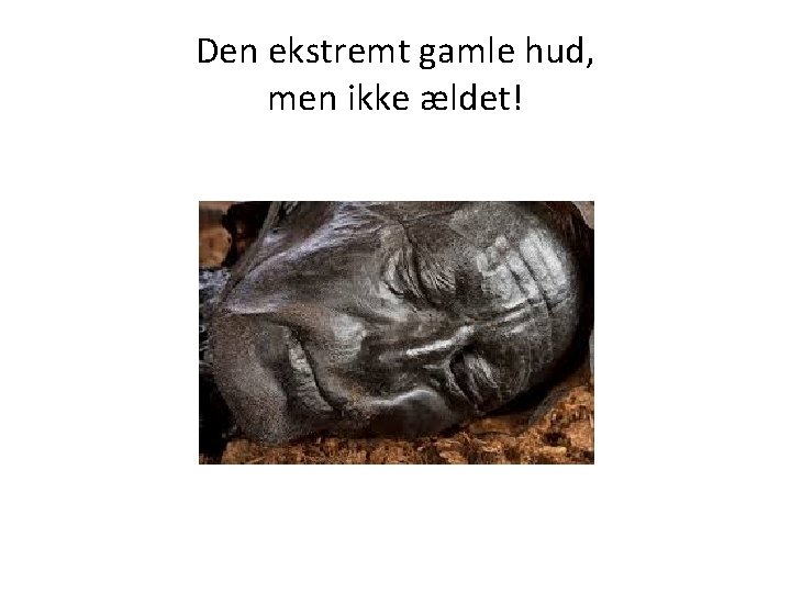 Den ekstremt gamle hud, men ikke ældet! 