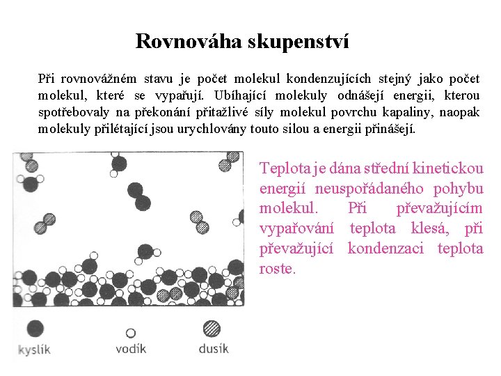 Rovnováha skupenství Při rovnovážném stavu je počet molekul kondenzujících stejný jako počet molekul, které