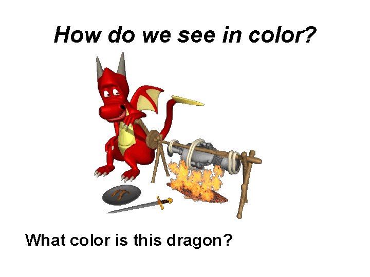 How do we see in color? What color is this dragon? 
