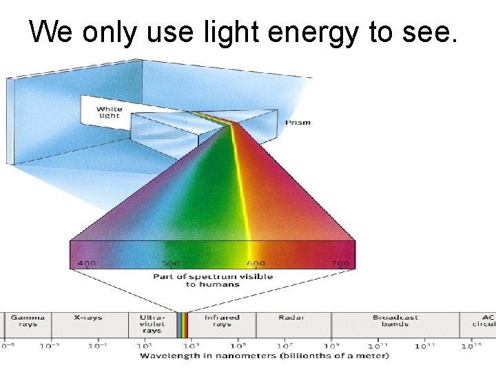 We only use light energy to see. 