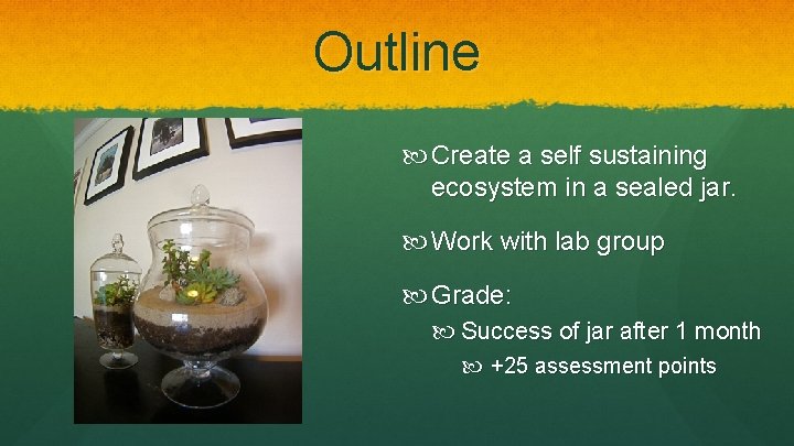 Outline Create a self sustaining ecosystem in a sealed jar. Work with lab group