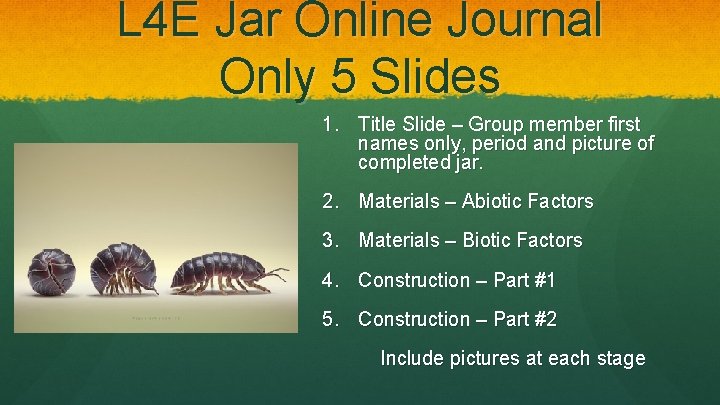 L 4 E Jar Online Journal Only 5 Slides 1. Title Slide – Group