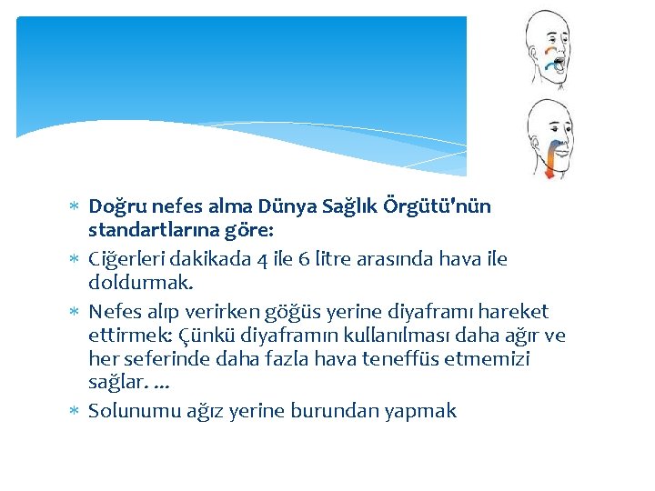  Doğru nefes alma Dünya Sağlık Örgütü'nün standartlarına göre: Ciğerleri dakikada 4 ile 6